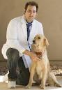Vaccination for your pets:Call- Dr Choudhary@ 9810013156