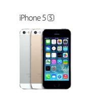 Apple iPhone 5S  (Silver-66866)