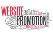 Delhi Seo & Web Promotion Services 