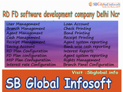 rdfd software development company Delhi Ncr