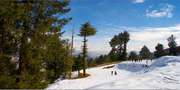 Shimla Tour Packages,  Shimla Tour Package from delhi