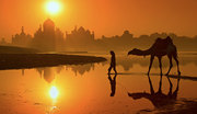 Travel agents in Delhi