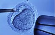 IVF treatment in India | Infertility Treatment in India