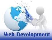 Website Design in Dwarka