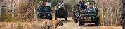 Best Bandhavgarh safari Tour Package from Delhi