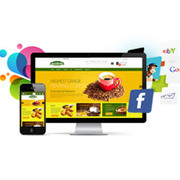 e-commerce Web Designing company