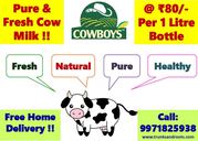 Pure,  fresh and healthy cow milk  for all Age group