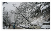 Shimla Tour Package with Car 