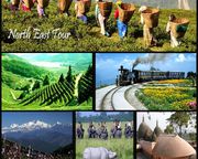 Enjoy North East India Tour Packages