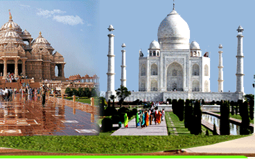 yoga india tour packge