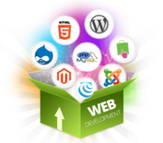 Website Development Services Company in Noida Delhi India