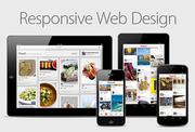 Responsive Website Designing Services Company in Noida Delhi India