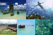 Book Andaman Island Tour Packages 2015 from Delhi