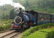 Darjeeling Train Tour