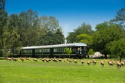 Wildlife Train Tour