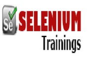 Selenium  Programming Course trainer at Delhi