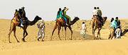 Colourfull exotic Tour Packages Company for royal Rajasthan