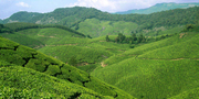 Kottayam Hill Station in Kerala