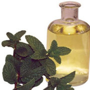 Mentha Piperita Oil Manufacturers Suppliers India