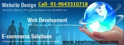 Get Web Development Company in Delhi NCR With Affordable Prices india