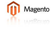 Magento eCommerce Website Development Services Company | WebGroupInfo