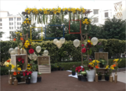 Shree sai tent and decorators for your special day