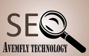 SEO Company in Delhi,  SEO Companies in Delhi NCR