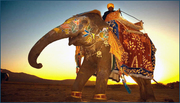 Rajasthan India Tour Packages