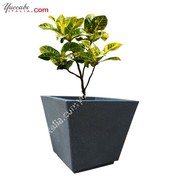 Ceiling Hanging Planters In Gurgaon