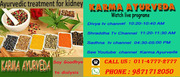 Ayurvedic medicine for kidney failure in Delhi