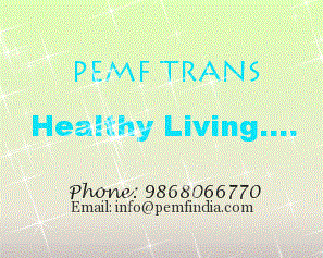 Transcranial Magnetic Stimulation by PEMF India