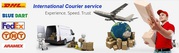 NO.1 DHL COURIER SERVICE BEST IN DELHI,  CANADA,  USA