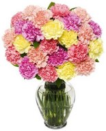  Send flowers to greater Noida.