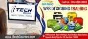 Web Designing Training