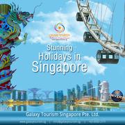 Book Singapore City Tour Package