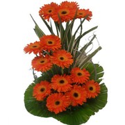 Send flowers online Delhi