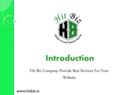 Hitbiz SEO Company - Experts In Web Positioning in Search Engines