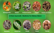 Best Kidney Failure Treatment In Ayurveda - Karma Ayurveda clinic