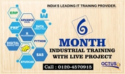 Octus Provide 6 Months Industrial Training in Noida