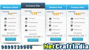 Indian web hosting companies