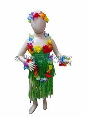Indian States & Folk Dances themed fancy dress costumes for kids