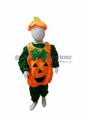 Buy or Rent vegetables costumes for kids in India | BookMyCostumes 