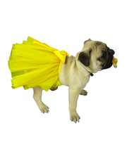  Douge Couture provides beautiful designer dog clothing for your pet.