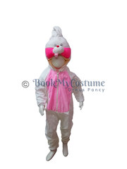 Buy or Rent kids Fancy Dress Costumes online  | BookMyCostume