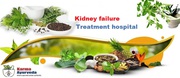 Use Ayurvedic Medicine For Kidney Disease - Karma Ayurveda