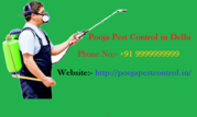 Pooja Pest control in Delhi