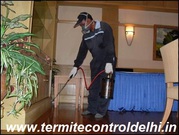 Looking for Anti Termite Treatment in Dwarka