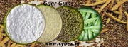 Find Guar Gums Importers Customs Data in India