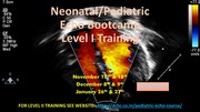 Neonatal Pediatric Echo Training Bootcamp Level 1