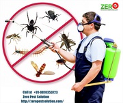 Odourless Pest Control in Gurgoan by Experts